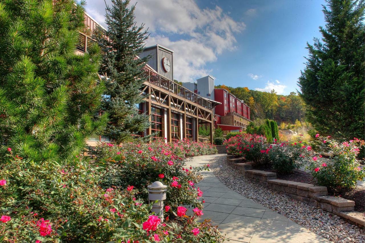 Resort Bear Creek Mountain 3*